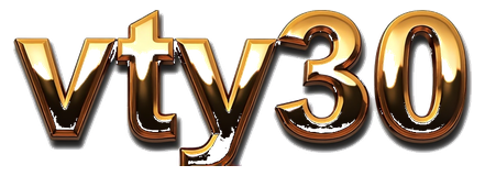 vty30 logo